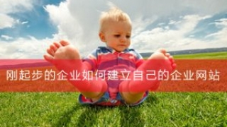 刚起步的企业如何建立自己的企业网站