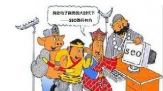 新站内页一直不收录是什么问题
