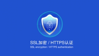 为什么说企业网站必须要用SSL证书